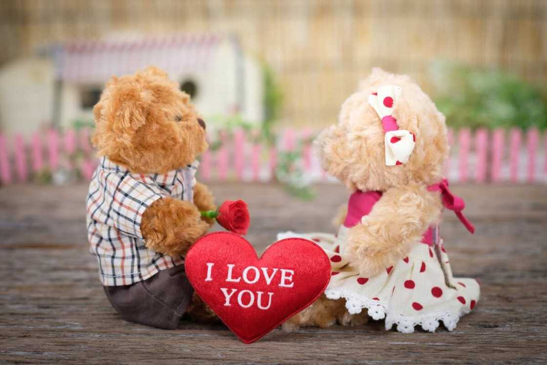 Reasons to love someone Reasons to love someone