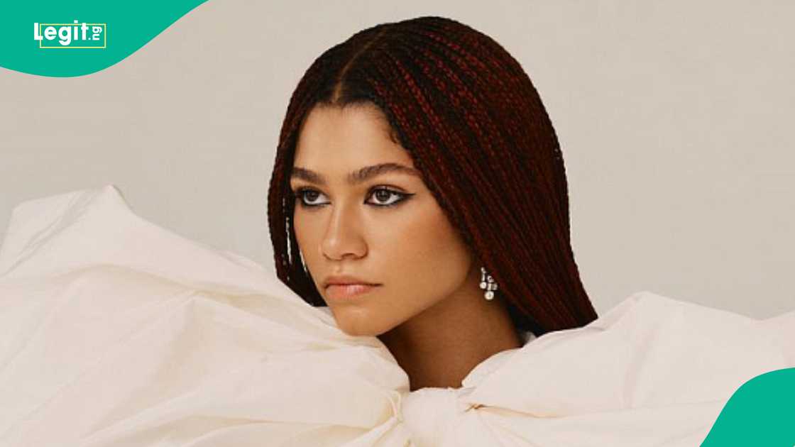 Zendaya, actress, Hollywood, actress