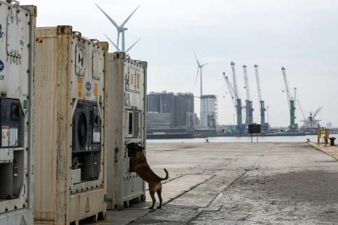 Antwerp is reputed to be the principal port of entry to Europe for cocaine from Latin America