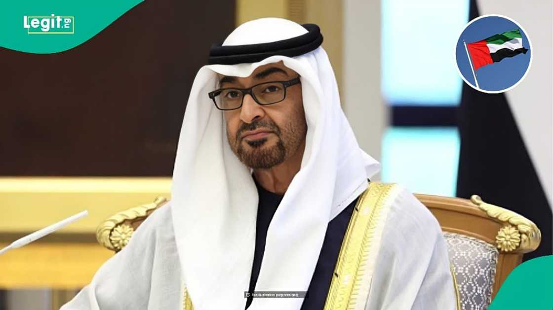 UAE announces monthly fee each foreigner must pay for entertainment permit