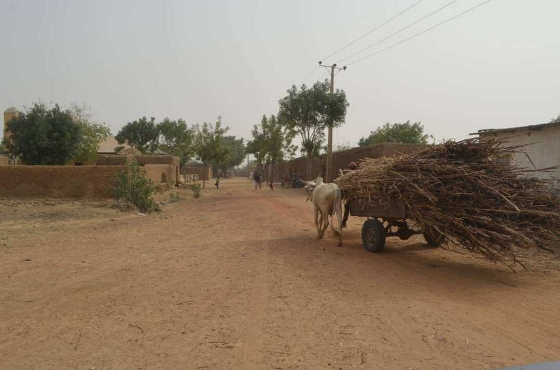 Katsina: 'Yan bindiga sunyi awon gaba da shugaban APC tare dawasu mutum 3 Katsina: 'Yan bindiga sunyi awon gaba da shugaban APC tare dawasu mutum 3