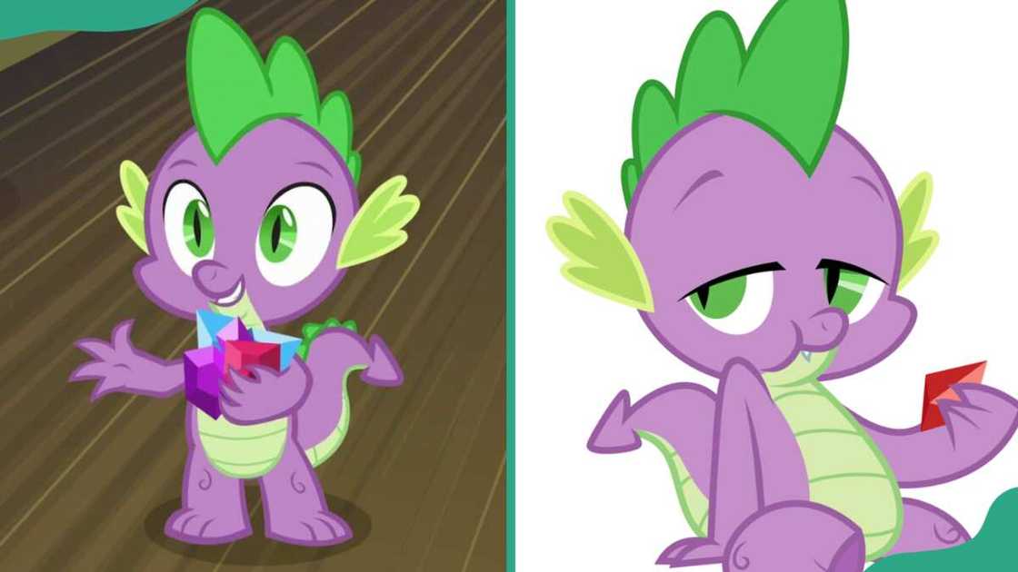 Spike the Dragon from My Little Pony Spike the Dragon from My Little Pony