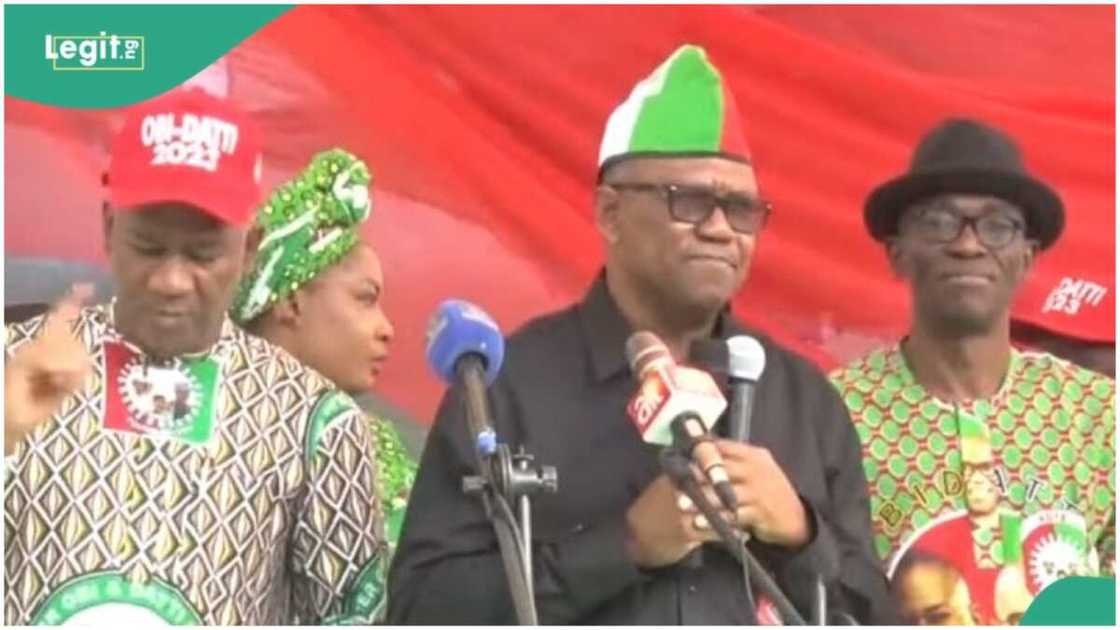 Labour Party/PDP/APC Labour Party/PDP/APC