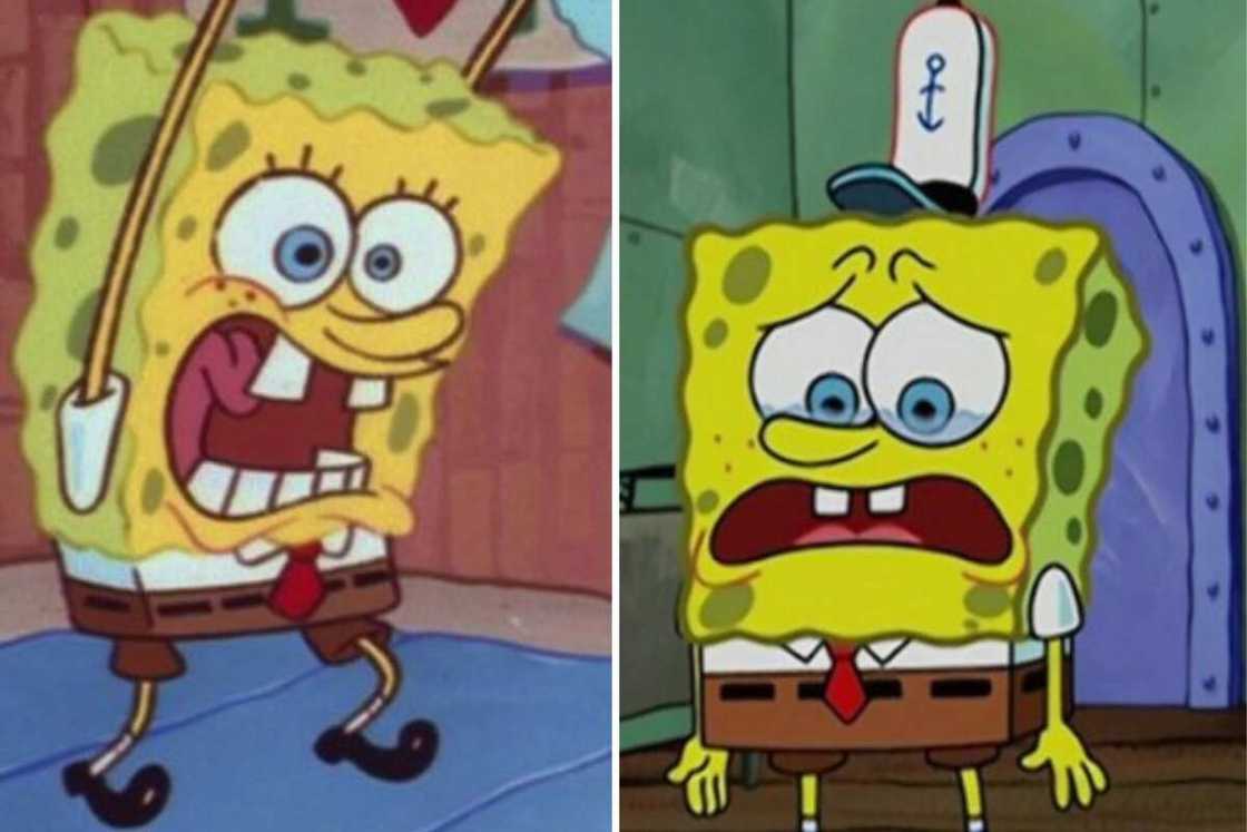 How old is SpongeBob SquarePants How old is SpongeBob SquarePants