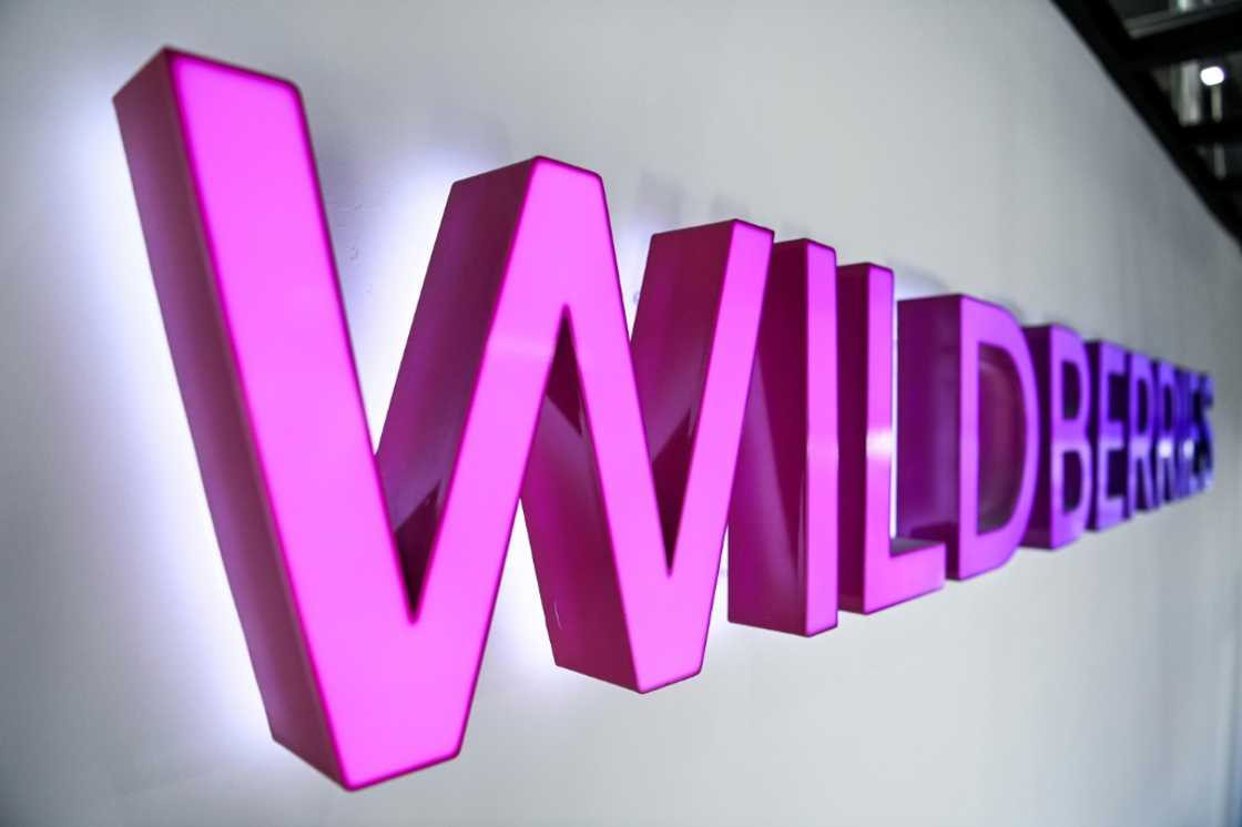 Wildberries is Russia's largest online retailer Wildberries is Russia's largest online retailer