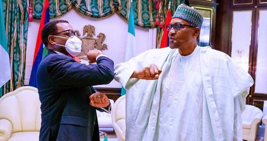 Nigeria now operates fatherism not federalism, says Akinwumi Adesina Nigeria now operates fatherism not federalism, says Akinwumi Adesina