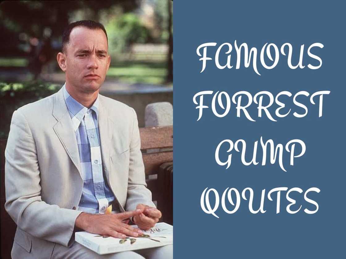 Forrest Gump movie quotes Forrest Gump movie quotes