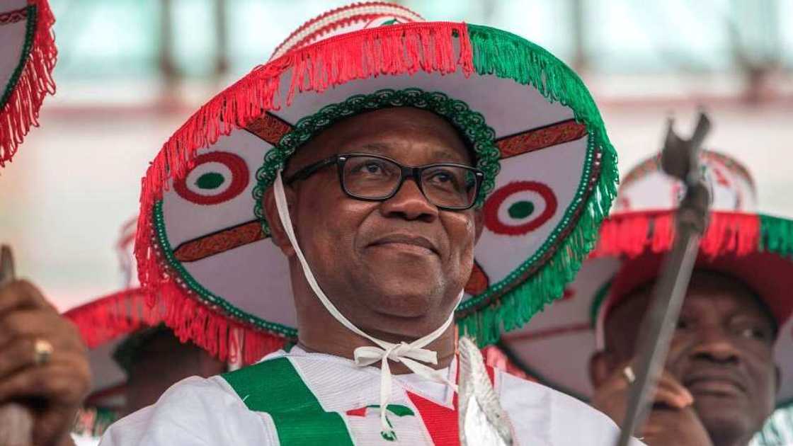 Labour Party, Peter Obi, Atiku Abubakar, PDP Labour Party, Peter Obi, Atiku Abubakar, PDP