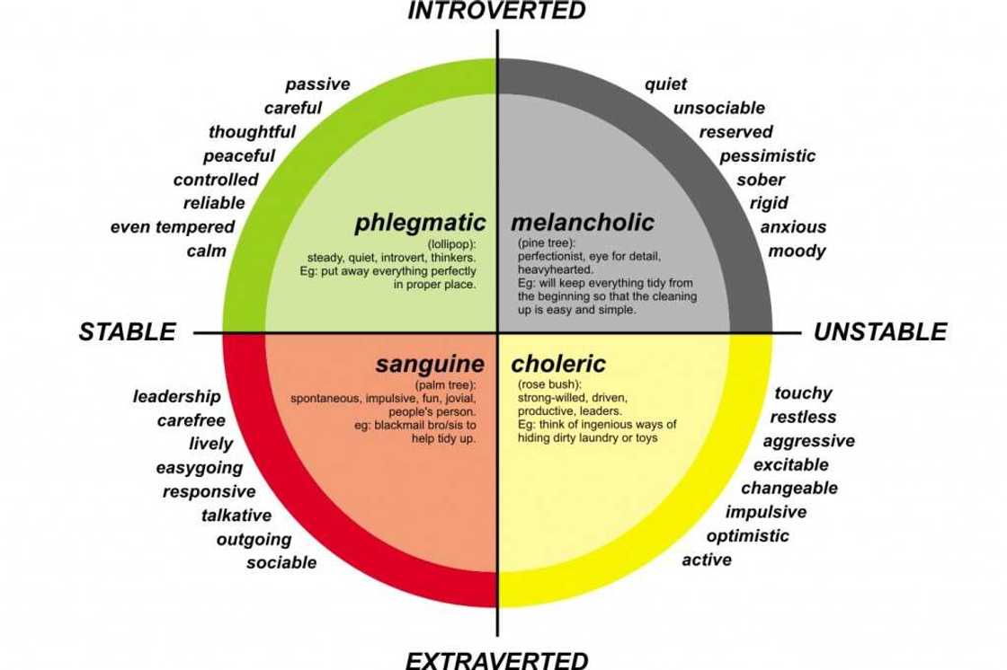Temperament types Temperament types