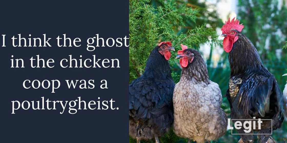 chicken puns chicken puns