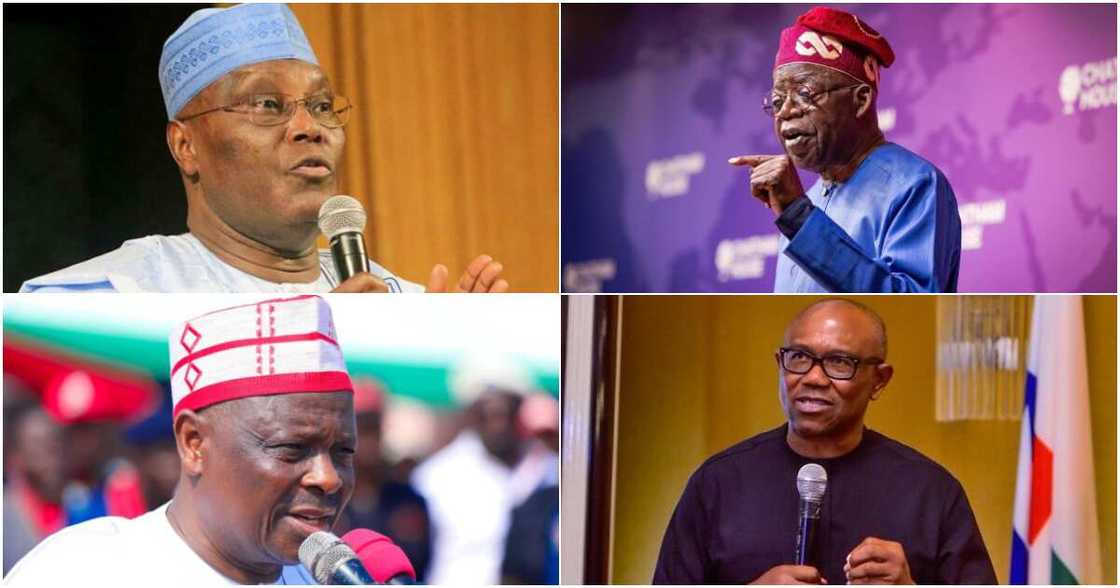 2023 election, APC, PDP, NNPP, Labour Party, Adamawa state 2023 election, APC, PDP, NNPP, Labour Party, Adamawa state