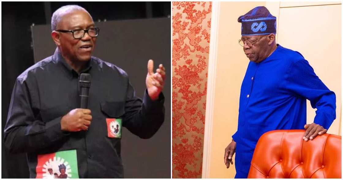 Tinubu offers board slots to governors/ Board slots/ Obi blasts Tinubu over board slots Tinubu offers board slots to governors/ Board slots/ Obi blasts Tinubu over board slots