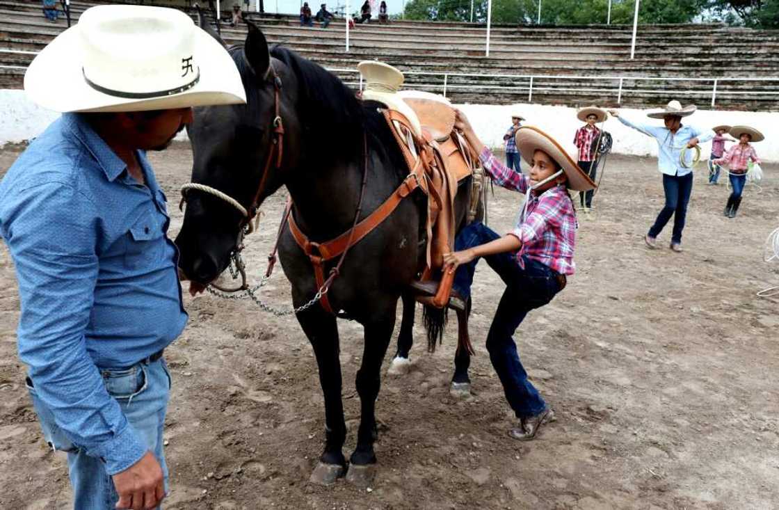 Mounting a horse unaided using stirrups is one of the required skills