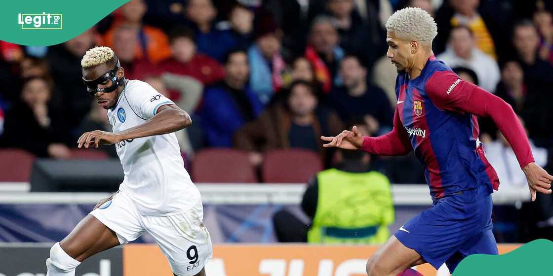 Barcelona vs Napoli/Napoli vs Barcelona/UCL/ucl match/barcelona vs napoli result/Osimhen/Victor Osimhen Barcelona vs Napoli/Napoli vs Barcelona/UCL/ucl match/barcelona vs napoli result/Osimhen/Victor Osimhen