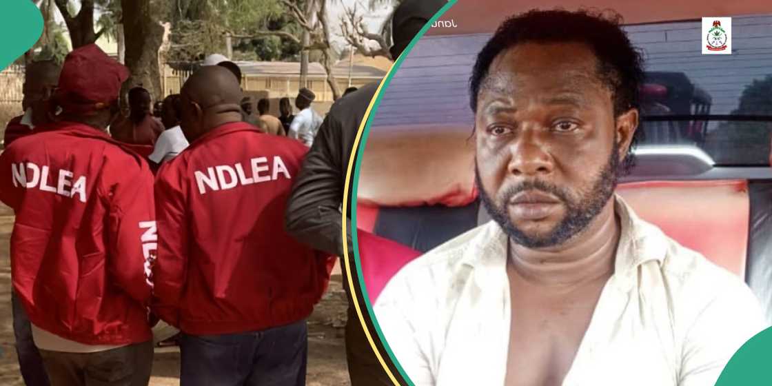 NDLEA nabs wanted drug kingpin Kanmo-Kanmo