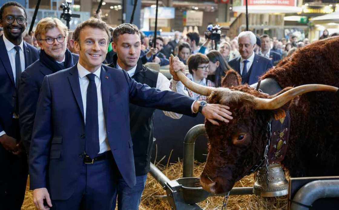 French President Emmanuel Macron remains cautious over the EU-Mercosur trade deal French President Emmanuel Macron remains cautious over the EU-Mercosur trade deal