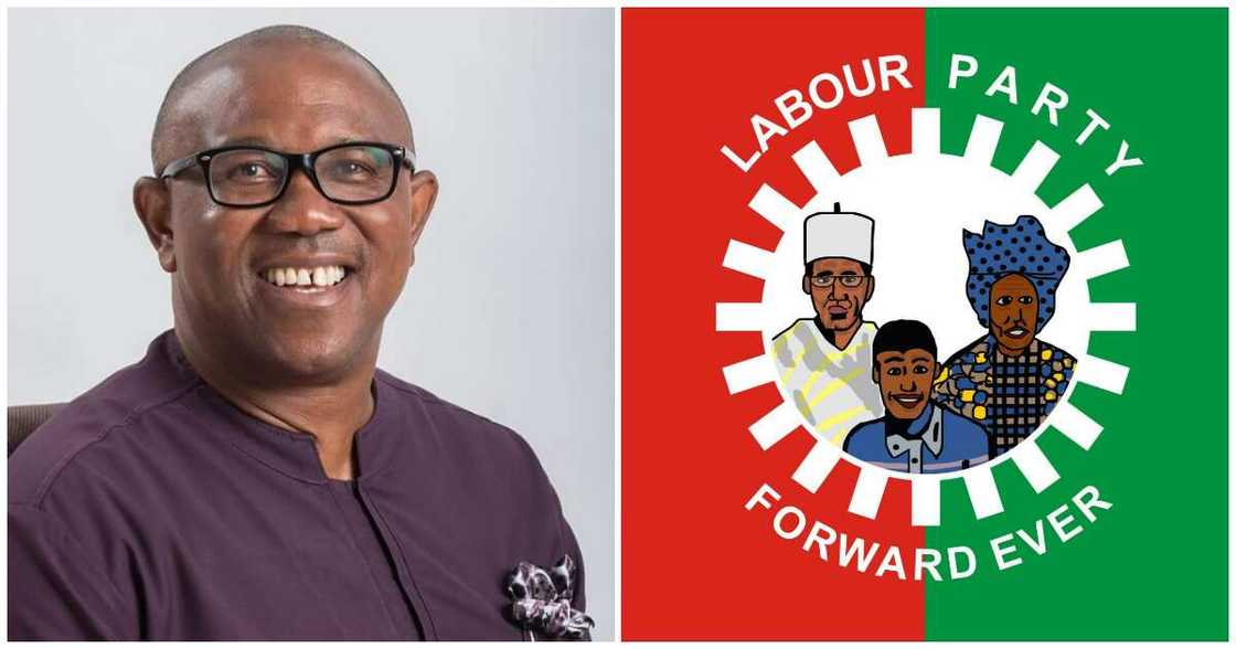 Peter Obi/Arabambi/Labour Party/Abure