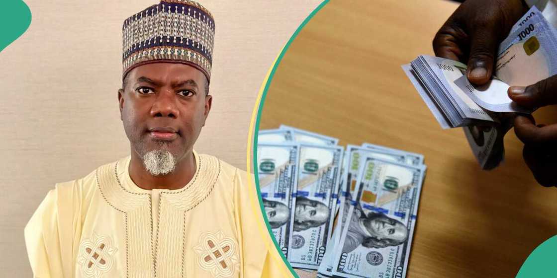 Reno Omokri says naira will rise against dollar Reno Omokri says naira will rise against dollar