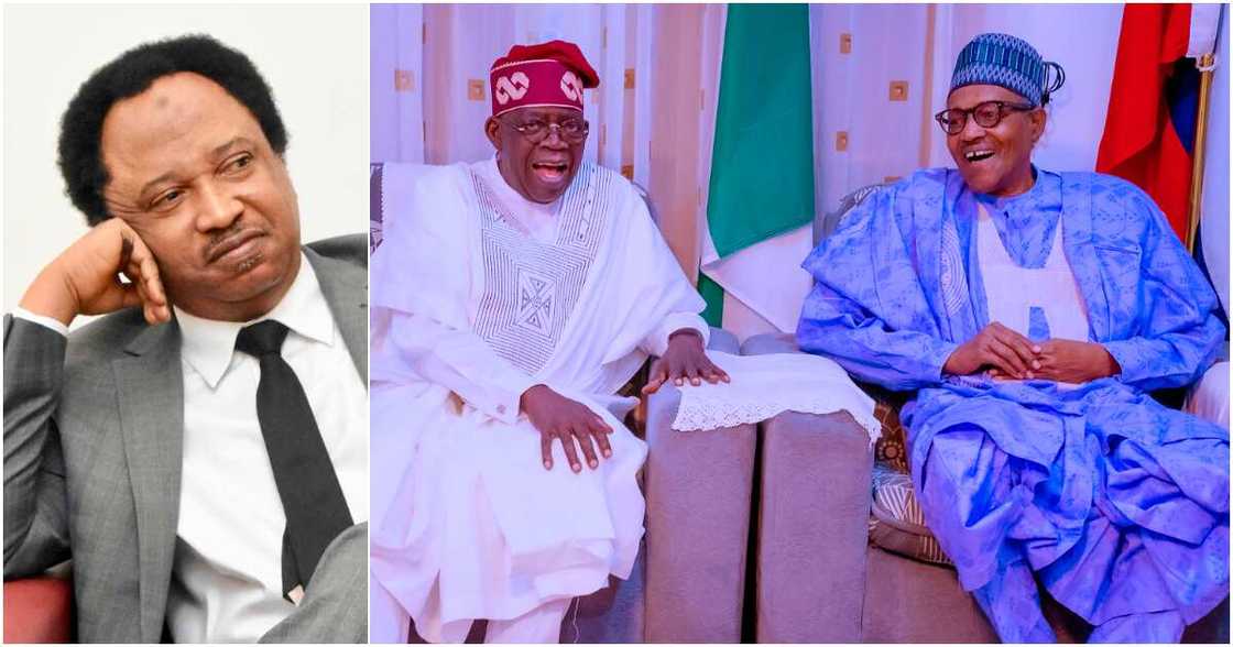 Shehu Sani, Bola Tinubu, President Muhammadu Buhari Shehu Sani, Bola Tinubu, President Muhammadu Buhari