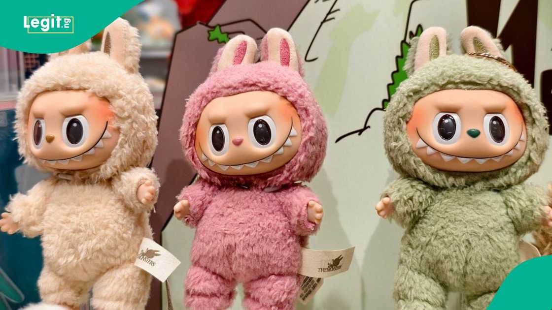 Labubu: BBNaija's Tacha blames peer pressure. Labubu: BBNaija's Tacha blames peer pressure.