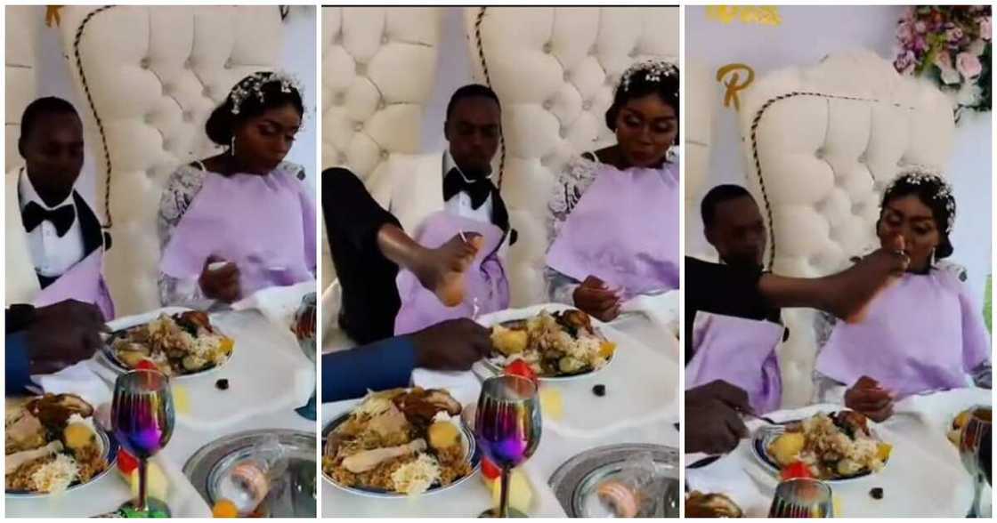 Groom, bride, leg, feed, wedding Groom, bride, leg, feed, wedding