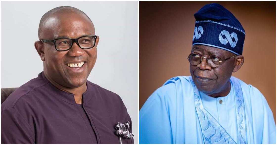 Peter Obi, Bola Tinubu, 2023 election, APC, Labour Party