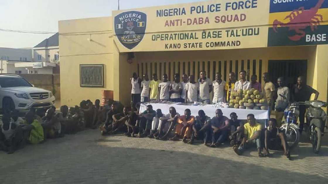 Kano: Ƴan sanda sun kama ɓata gari 59, sun ƙwato muggan makamai da ƙwayoyi Kano: Ƴan sanda sun kama ɓata gari 59, sun ƙwato muggan makamai da ƙwayoyi