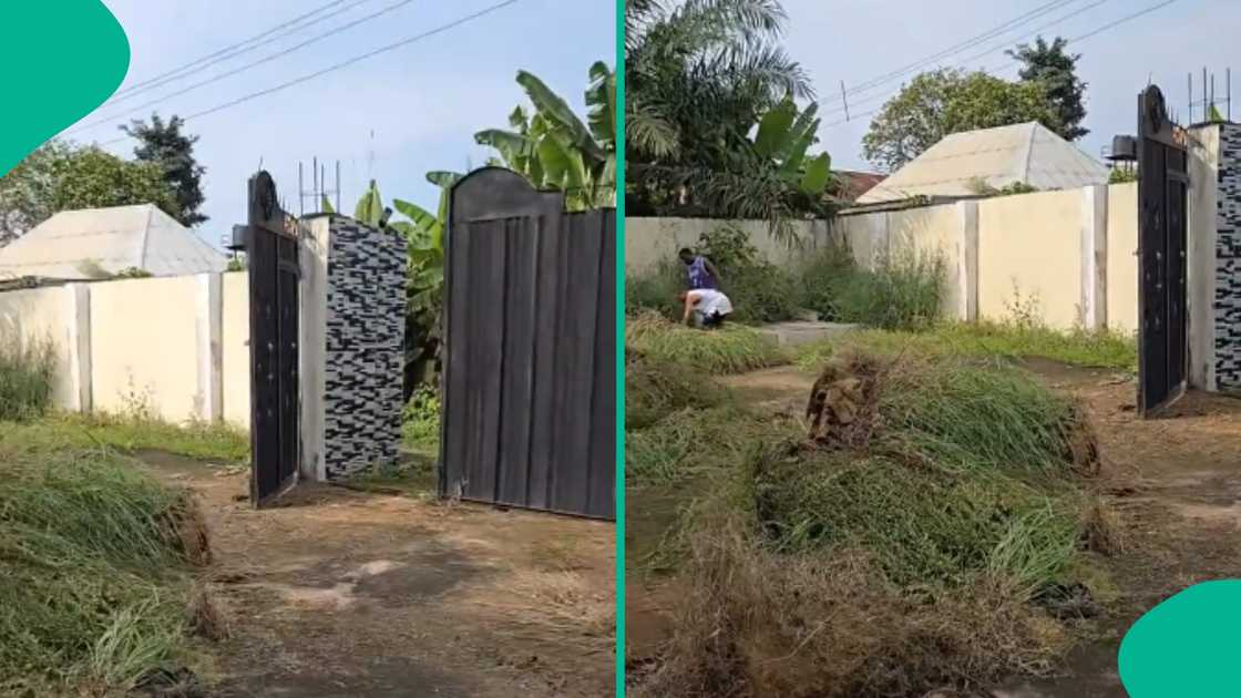 Man laments state of his village house he left for 10 months, seeks help Man laments state of his village house he left for 10 months, seeks help