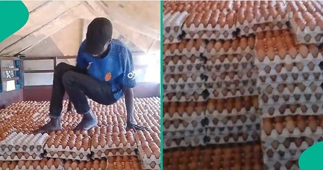 Man trends online after walking on eggs