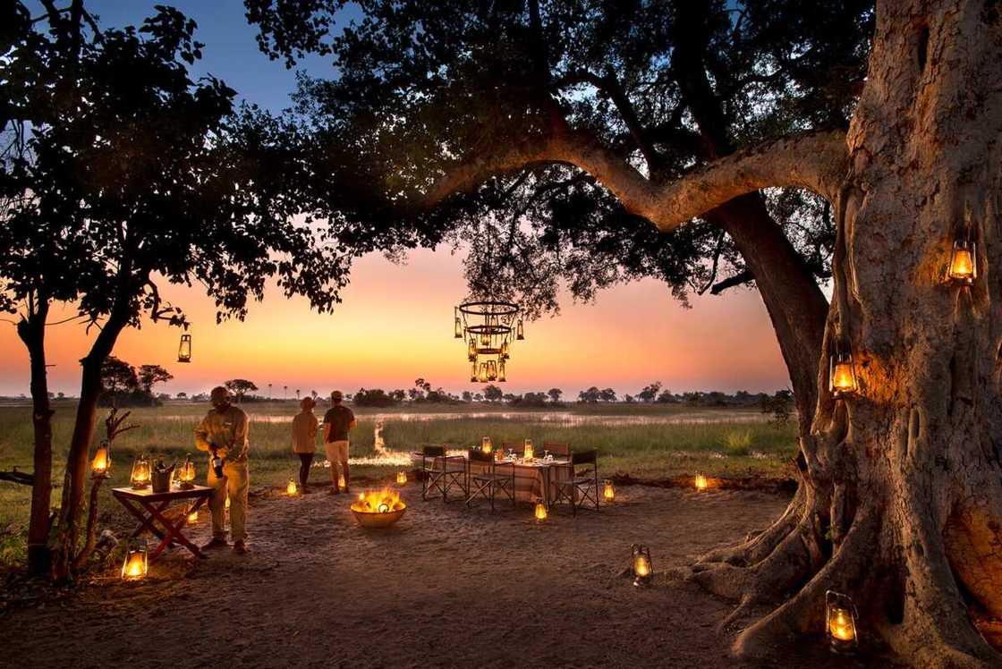 Charming Botswana Charming Botswana