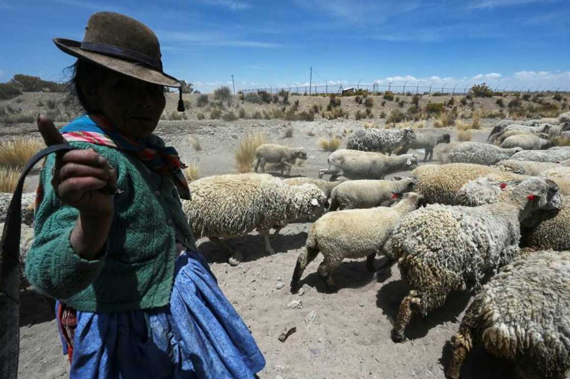 Members of the Uru Indigenous community around dried-up Lake Poopo have had to find other ways of making a living