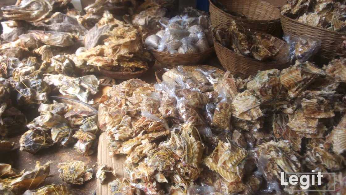 Stock fish is also very expensive in the market now and some buyers cannot prepare delicious soups without this item which makes it an important item on buyers list. Photo credit: Esther Odili