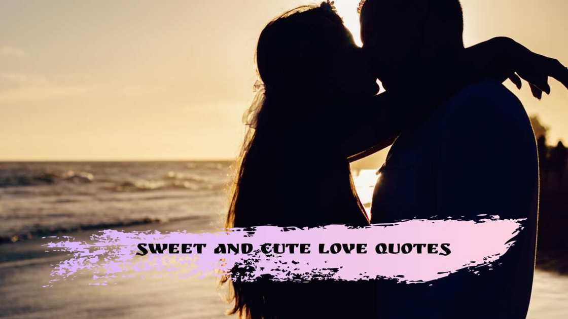 Cute quotes about love Cute quotes about love