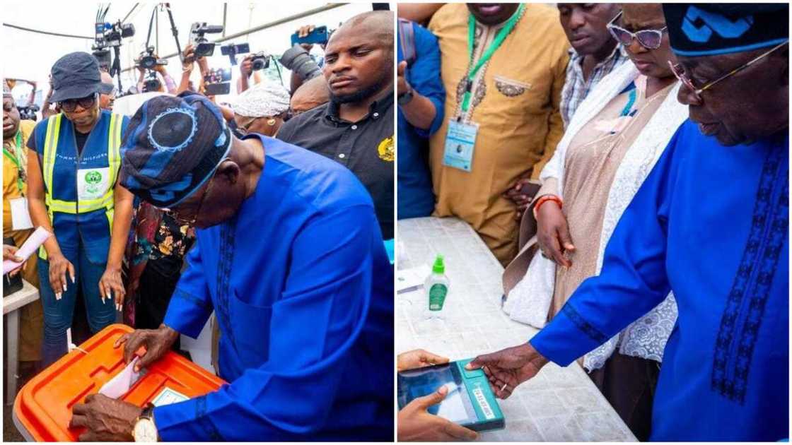 Winner Emerges in Tinubu's Polling Unit as Results Trickle In