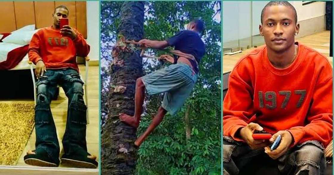 Palm wine tapper shows off his transformation after two years Palm wine tapper shows off his transformation after two years