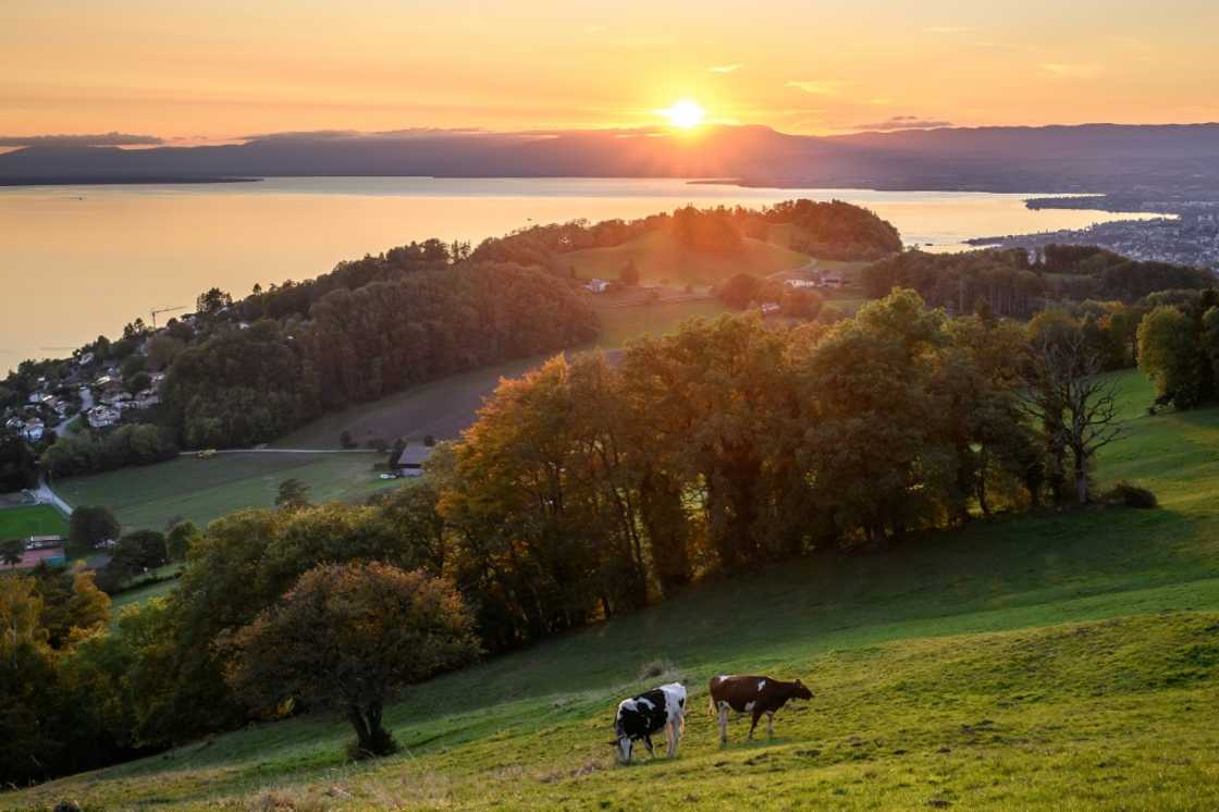 Switzerland is a popular country for billionaires to move to Switzerland is a popular country for billionaires to move to