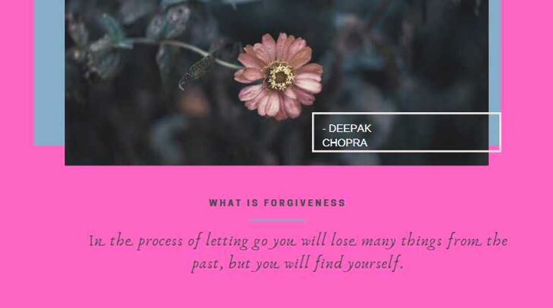 letting go quotes letting go quotes