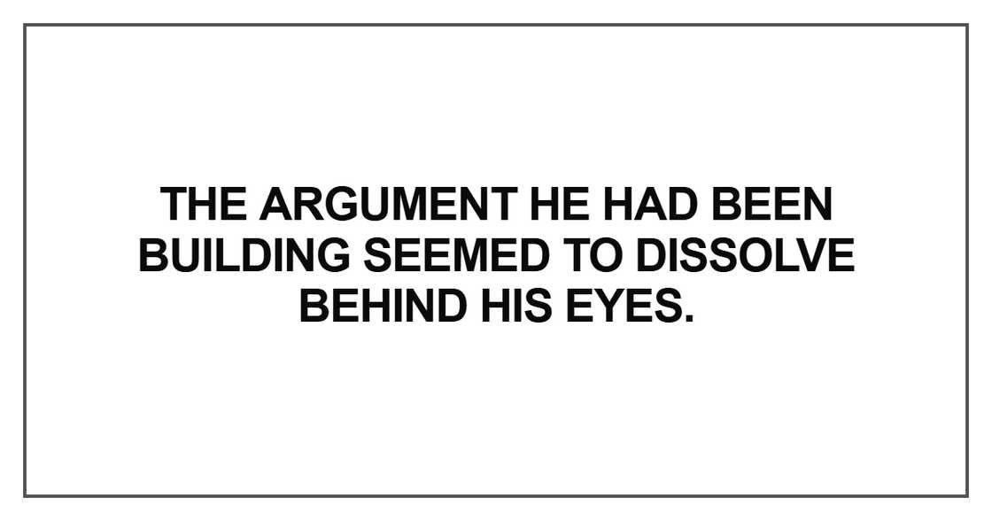 The argument he had been building seemed to dissolve The argument he had been building seemed to dissolve
