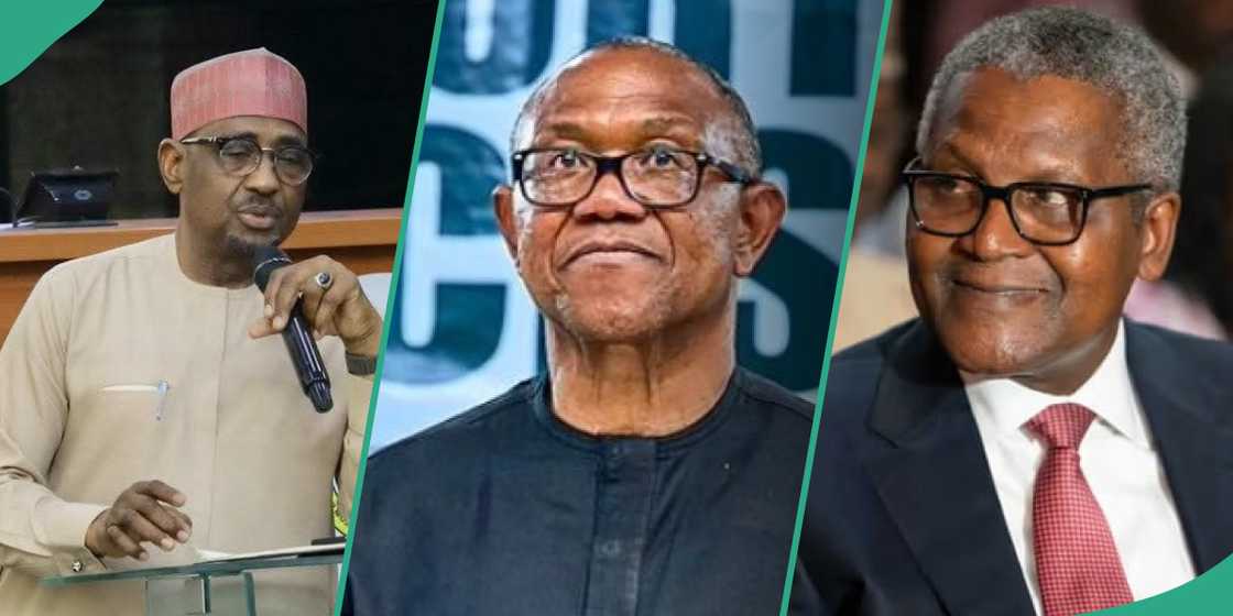 Aliko Dangote at a business forum, whose allegation sparked renewed debate on public ethics.