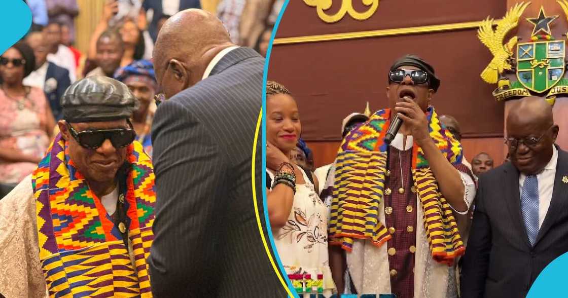 Stevie Wonder is Ghanaian Stevie Wonder is Ghanaian