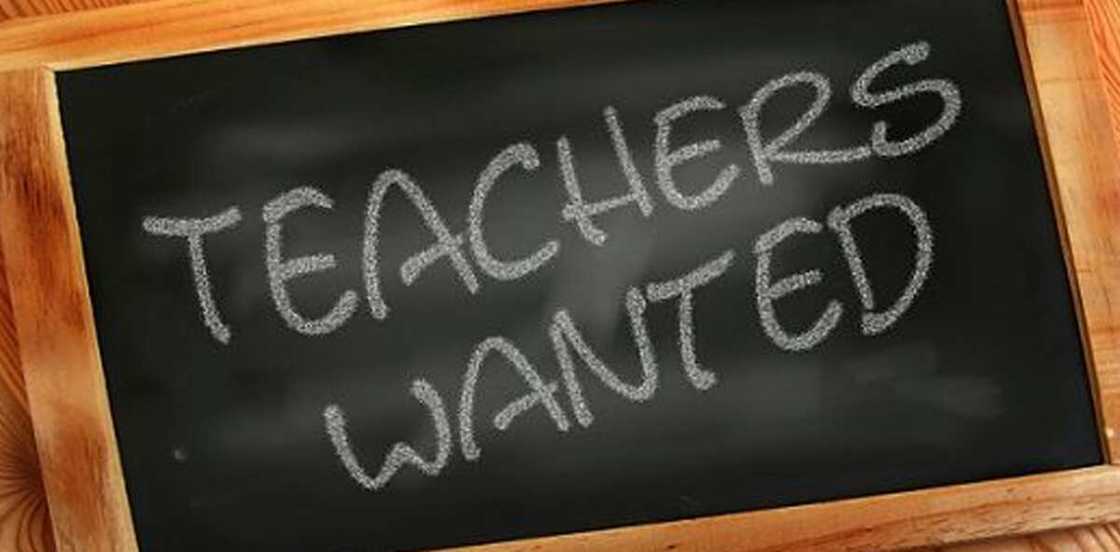 How to write an application letter How to write an application letter