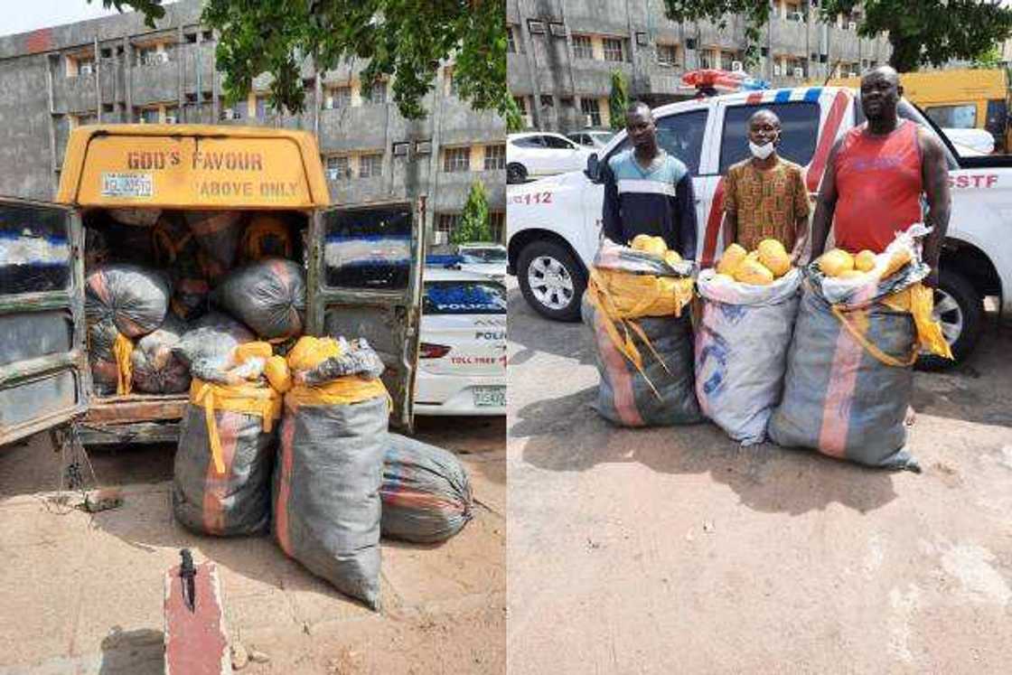 Jami'an 'yan sanda sun ki karbar cin hancin N500k bayan kama mota dankare da miyagun kwayoyi Jami'an 'yan sanda sun ki karbar cin hancin N500k bayan kama mota dankare da miyagun kwayoyi