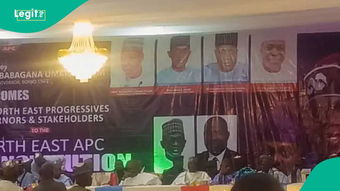 Shettima's picture is missing on APC banner at party's eventy in Borno.