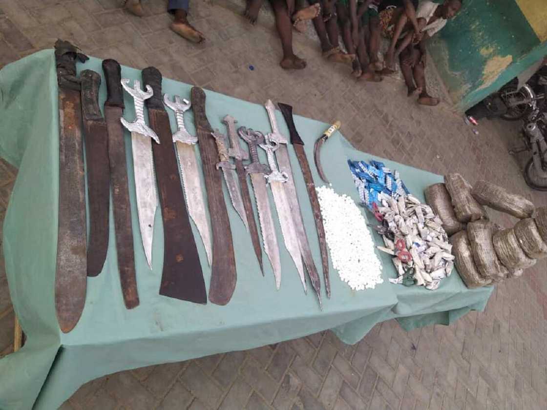 Hotunan Bindigu, Makamai Da Ƙwayoyi Da Ƴan Sanda Suka Ƙwato Hannun Ƴan Fashi Da Masu Garkuwa 225 a Kano Hotunan Bindigu, Makamai Da Ƙwayoyi Da Ƴan Sanda Suka Ƙwato Hannun Ƴan Fashi Da Masu Garkuwa 225 a Kano