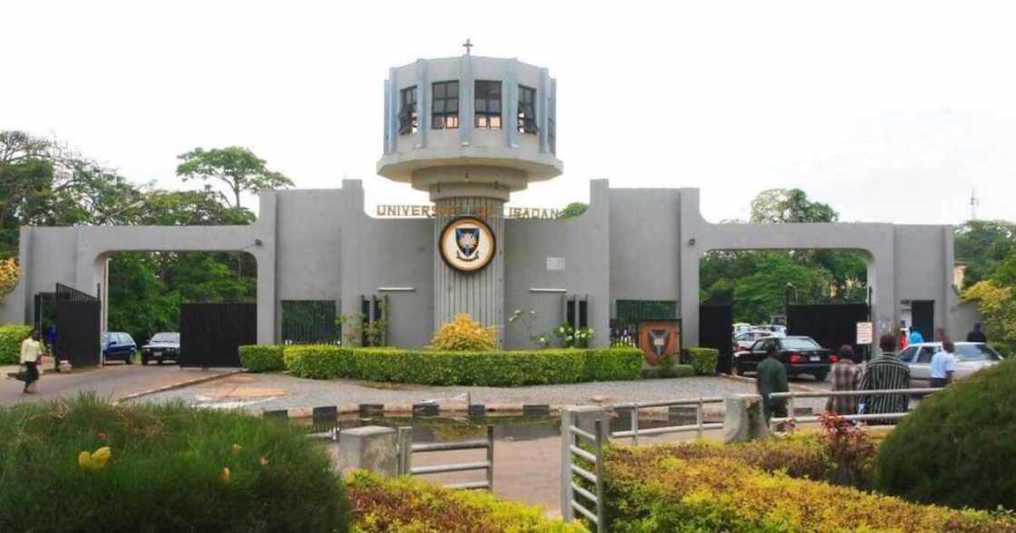 UI, Fuel subsidy UI, Fuel subsidy