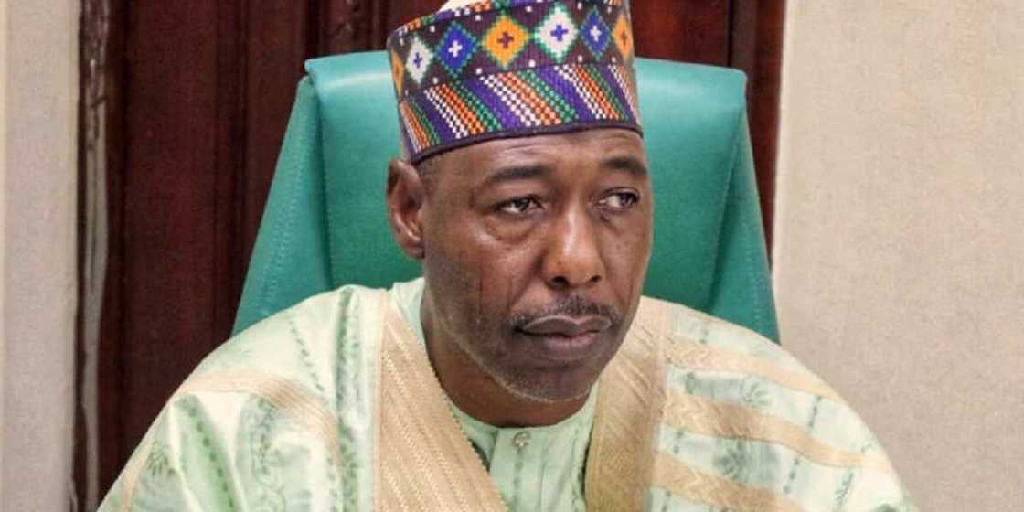 Babagana Zulum, Gwamnan Jihar Borno. Babagana Zulum, Gwamnan Jihar Borno.