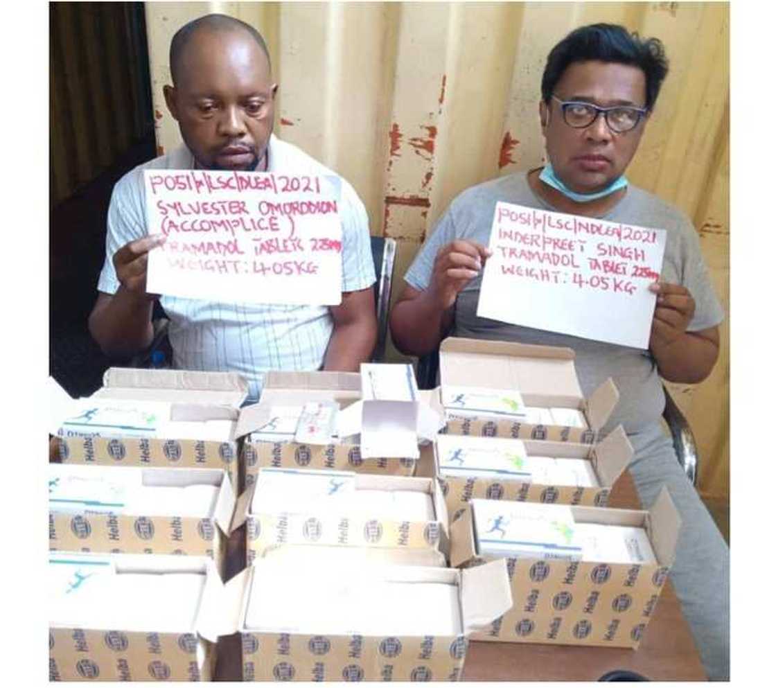 NDLEA intercepts container load of Tramadol in Apapa port NDLEA intercepts container load of Tramadol in Apapa port
