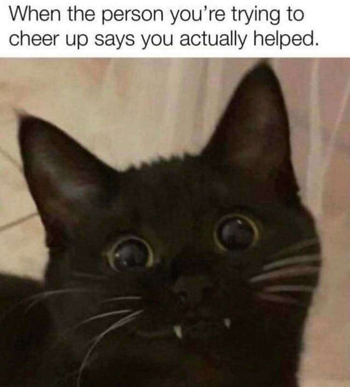 Happy Wednesday meme Happy Wednesday meme