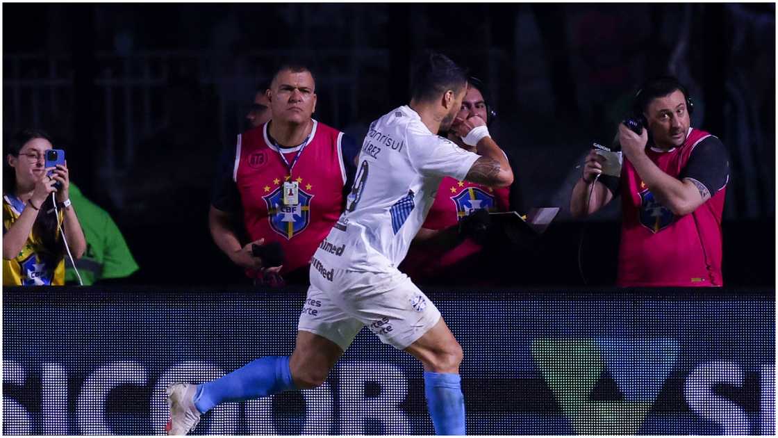 Luis Suarez, Gremio, Botafogo, Brazil. Luis Suarez, Gremio, Botafogo, Brazil.