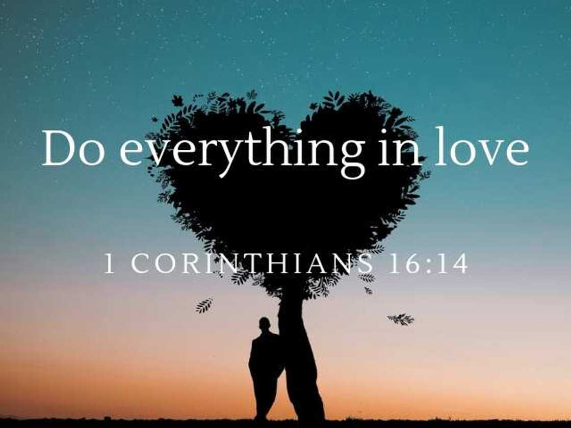 Bible verses about love and understanding Bible verses about love and understanding